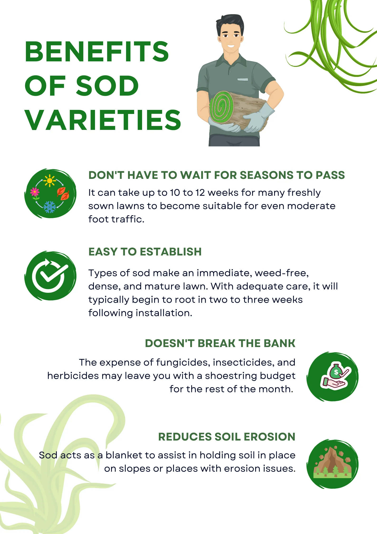 An infographic on the benefits of the types of sod