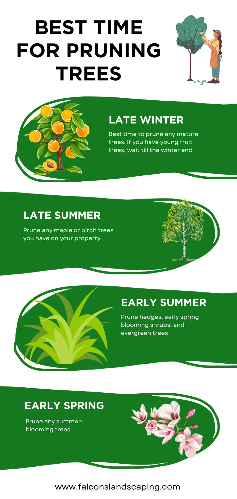 A chart explaining the best time for pruning trees