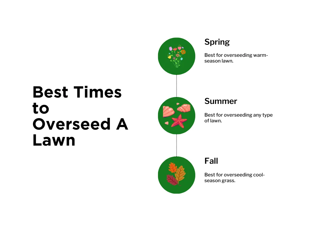 A diagram on the best times to overseed a lawn