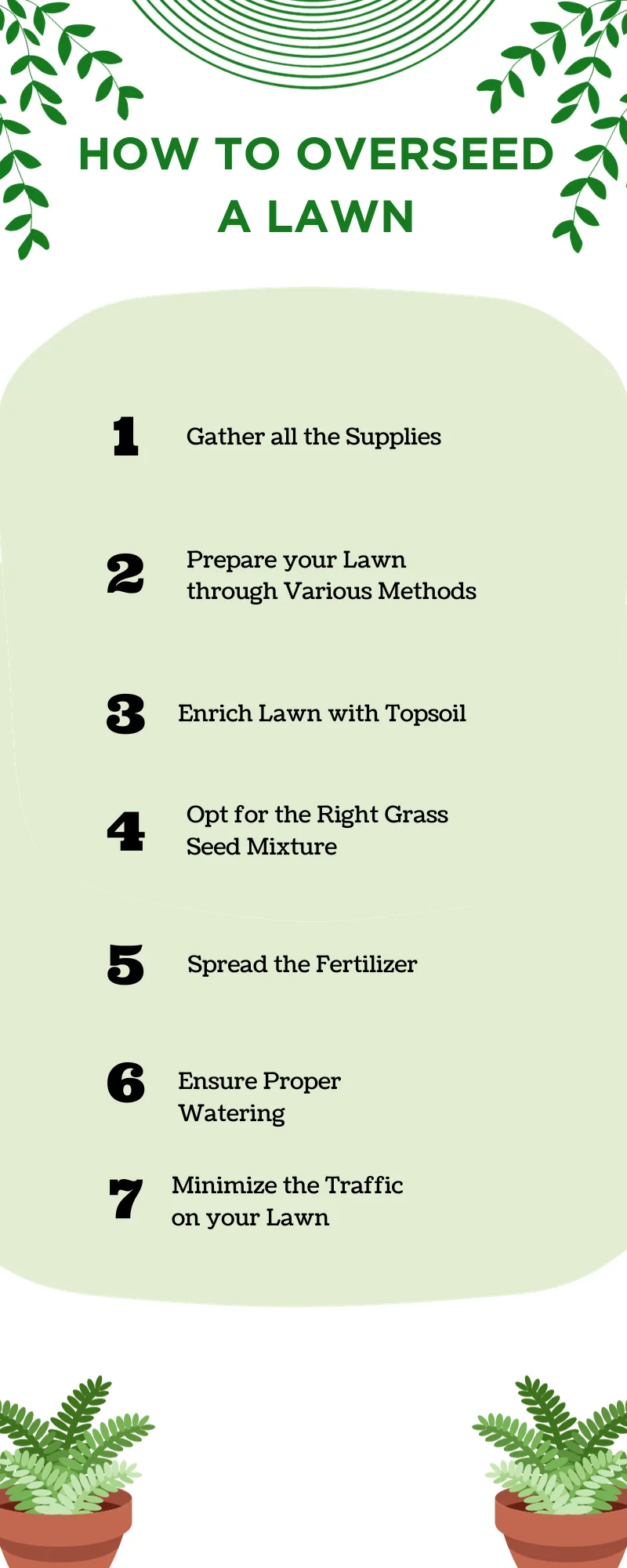An infographic on how to overseed a lawn