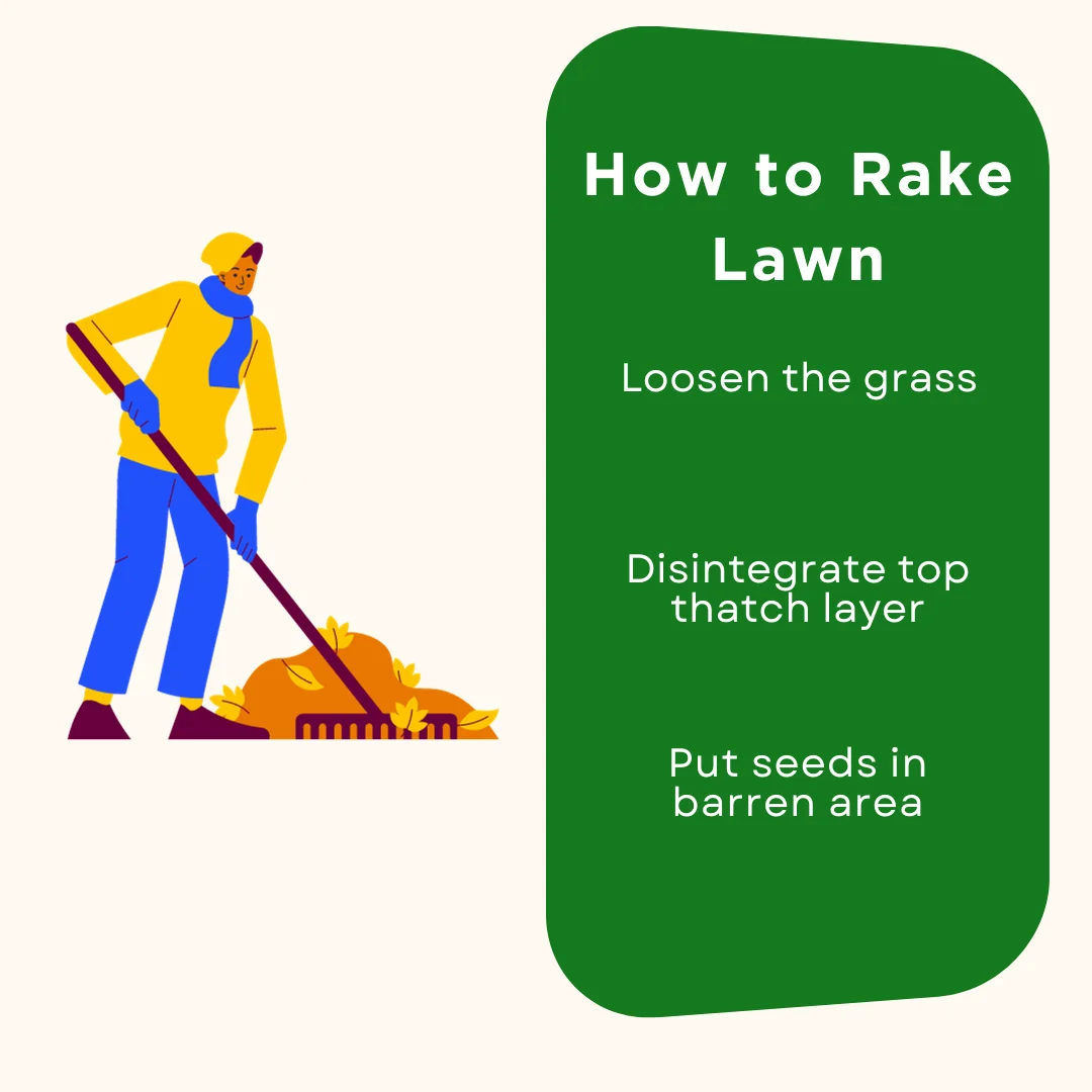 Three steps on how to rake a lawn