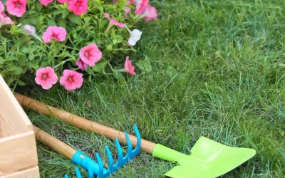 Lawn Care Schedule: Bring Out the Green Side All Year-Round