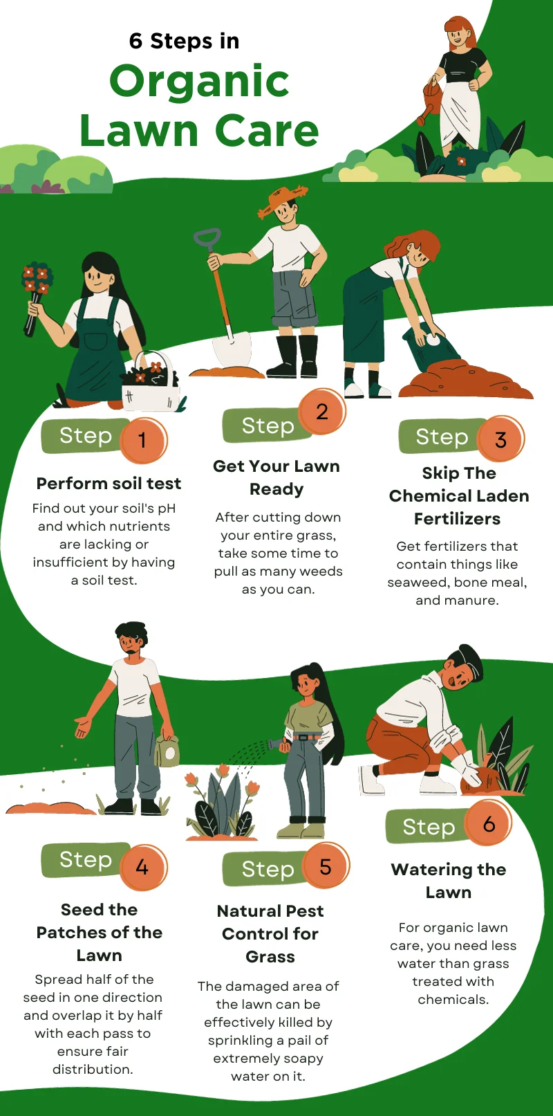An infographic explaining all the steps to organic lawn care