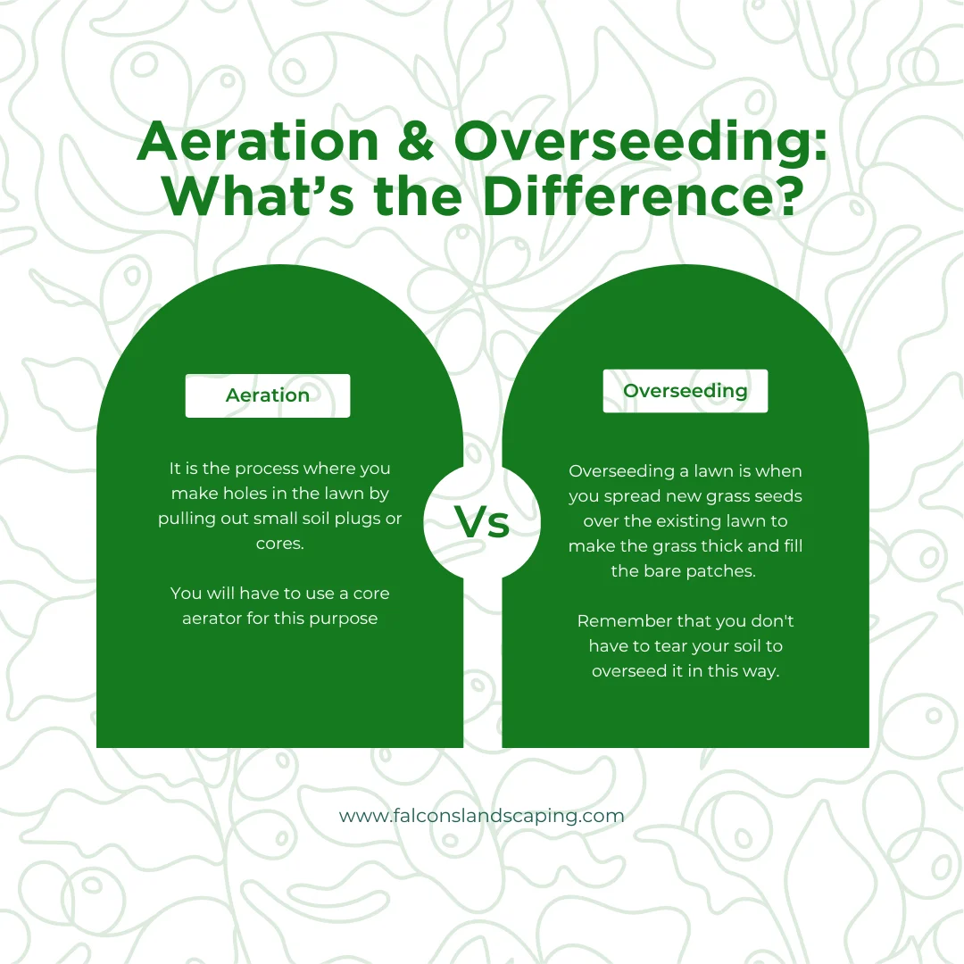 A table on the difference between what is overseeding and aeration