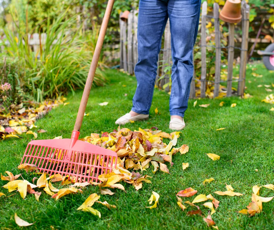 a man raking leaves in fall season