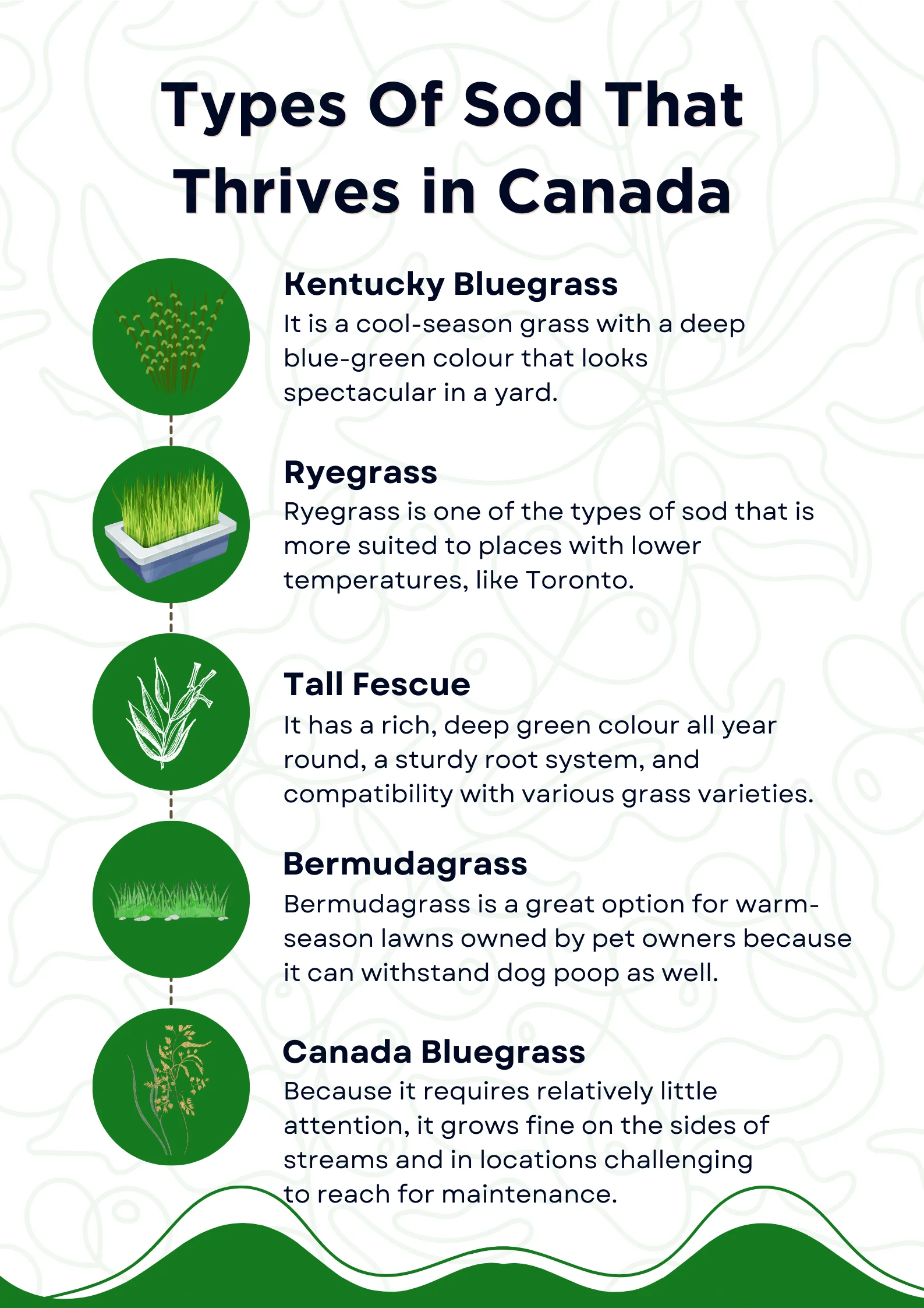 infographic on the types of sod in canada