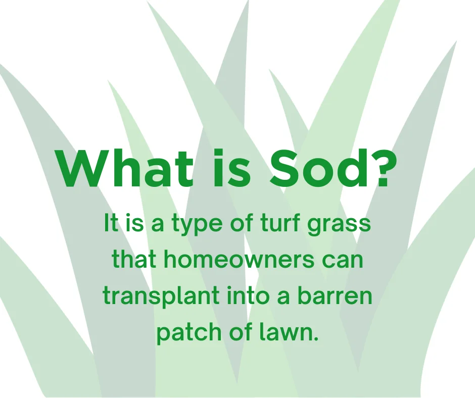 A poster answering what is sod