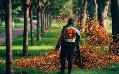 Fall Lawn Care: Complete Checklist for a Well-Maintained Lawn