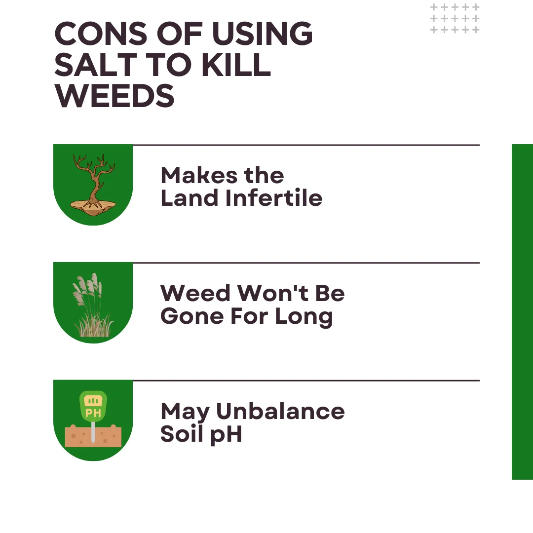 A diagram on the cons using salt to kill weeds