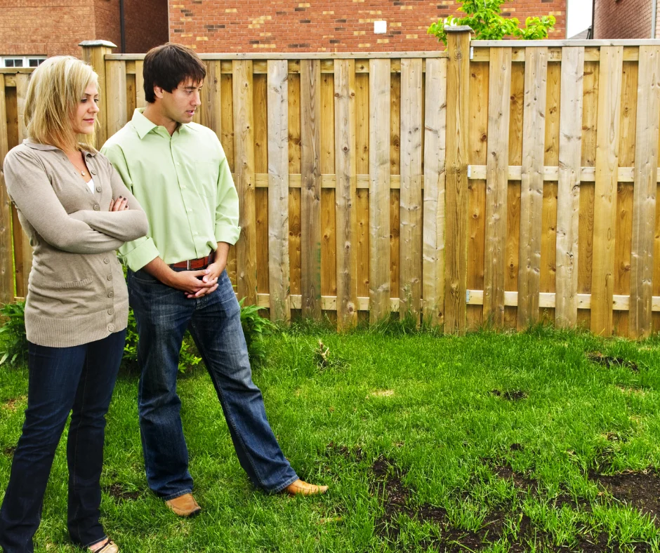 A couple looking at brown patches in the lawn at home