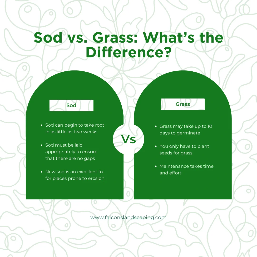 An infographic on the difference between sod and grass