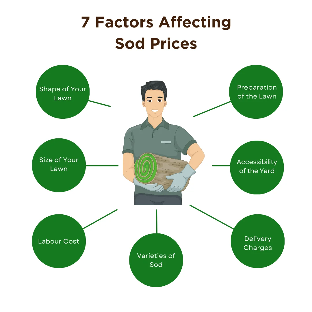 An infographic explaining factors affecting sod prices