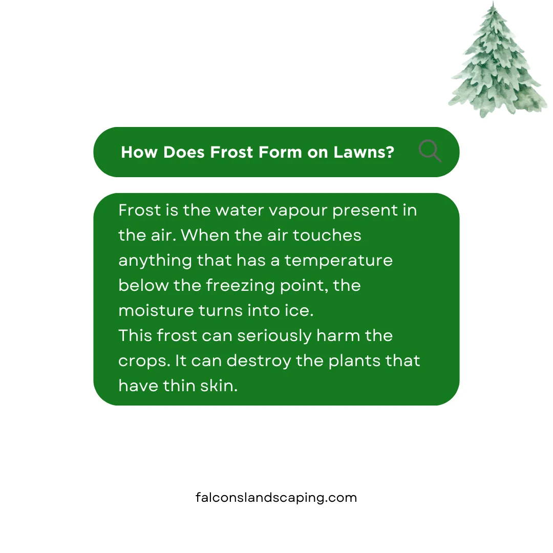 An explanation of frost formation on plants