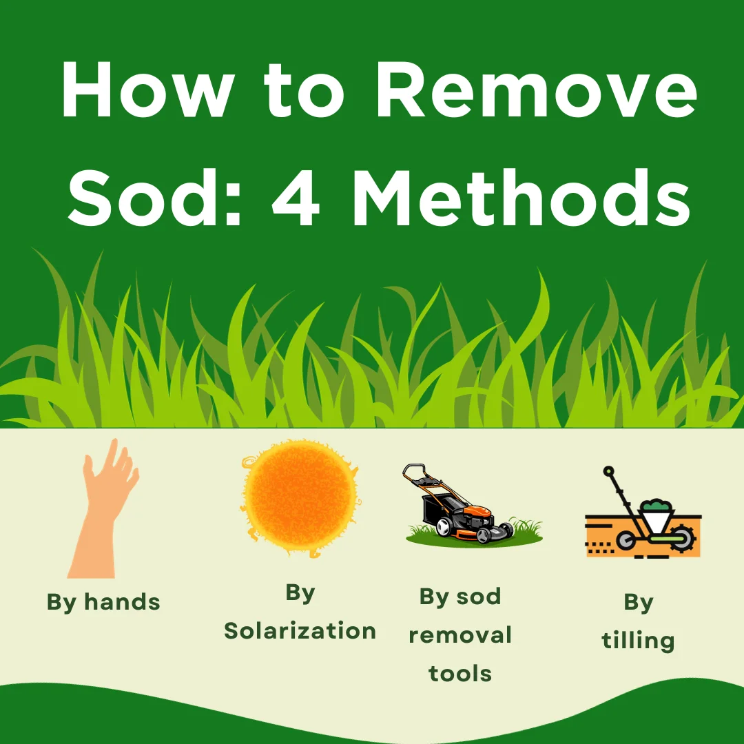 An infographics on the four methods of how to remove sod