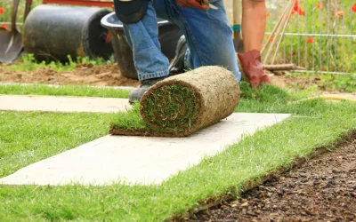 4 Hassle-Free Techniques on How to Remove Sod