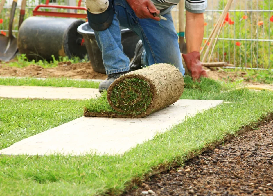 man-removing-sod-from-lawn