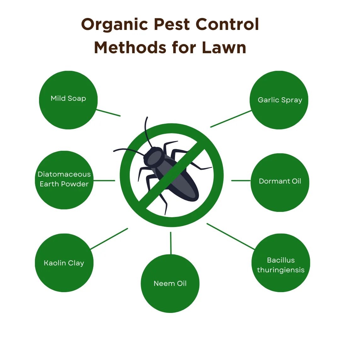 a diagram on the methods of organic pest control for garden