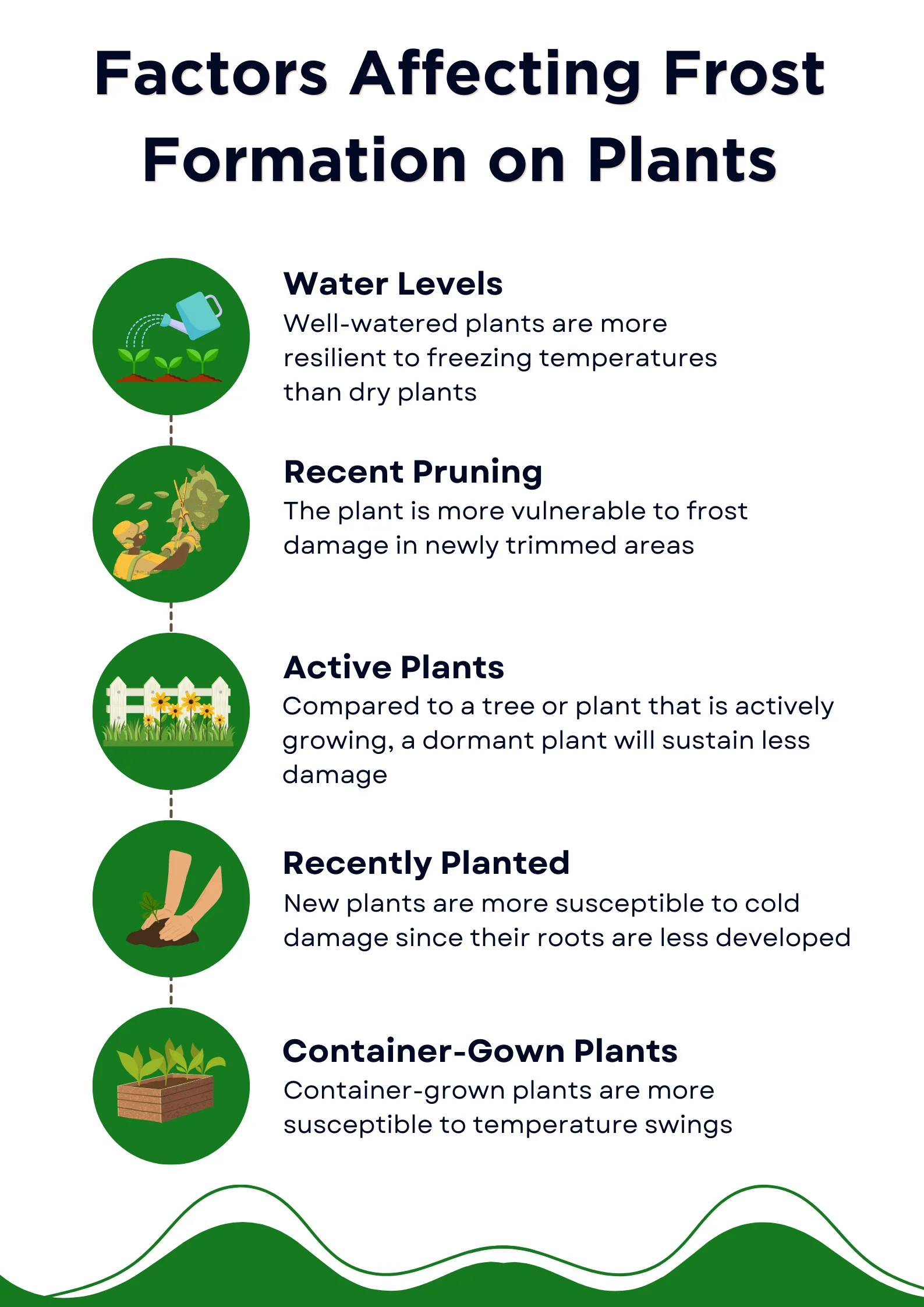 An infographic explaining what plants are susceptible to frost