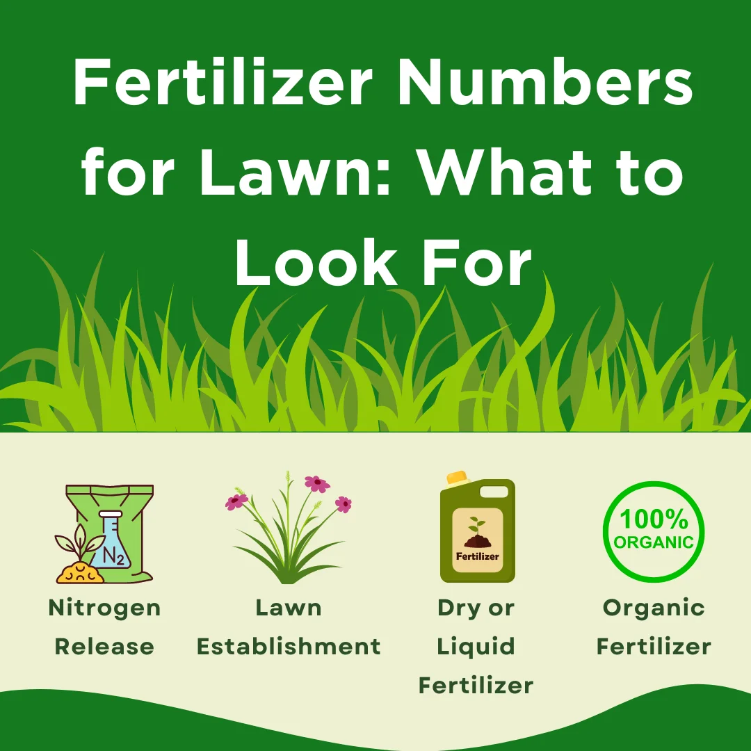 An infographic on what to look for when choosing fertilizer numbers