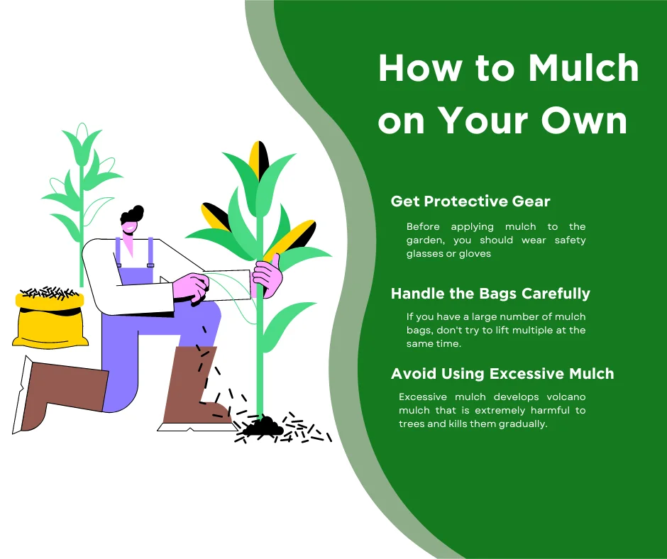 An infographic explaining how to mulch on your own