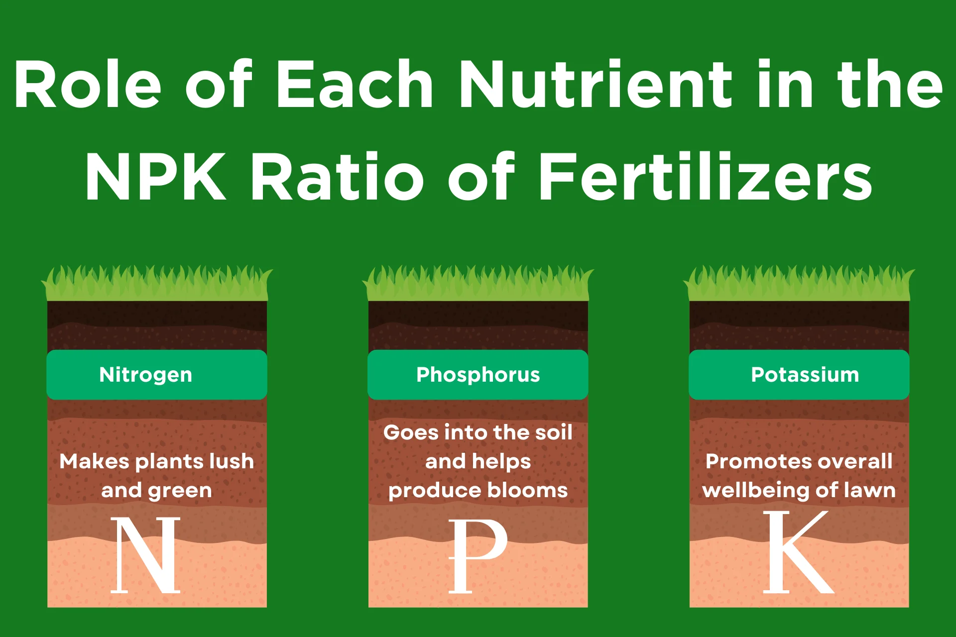 An infographic explaining each letter in the NPK fertilizer ratio