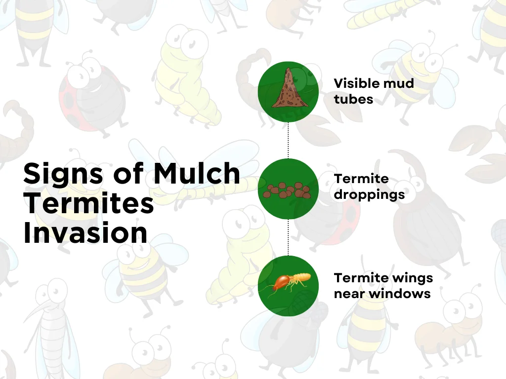 An infographic on the top signs of mulch termites in the house
