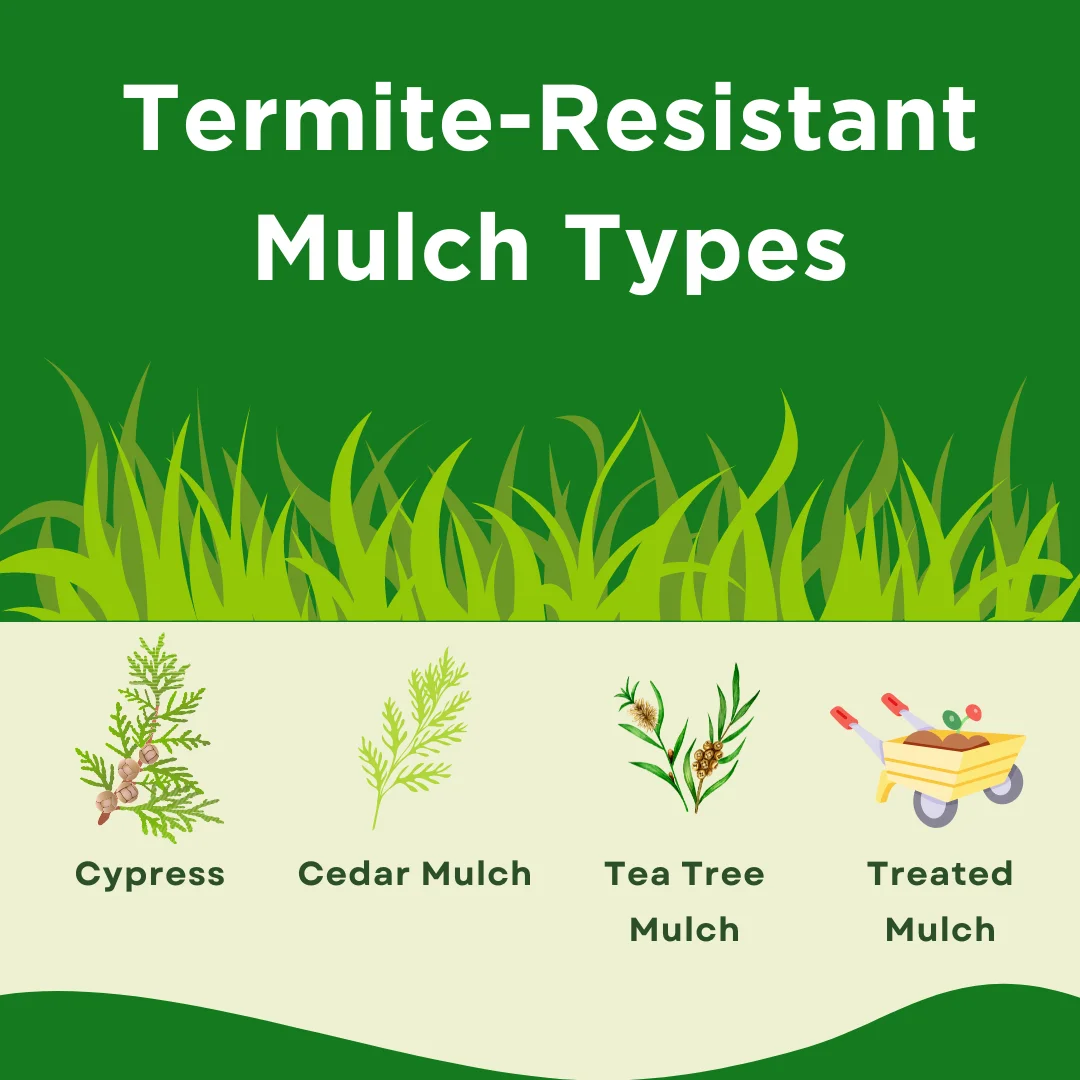 An infographic on the types of mulch that is resistant to termites