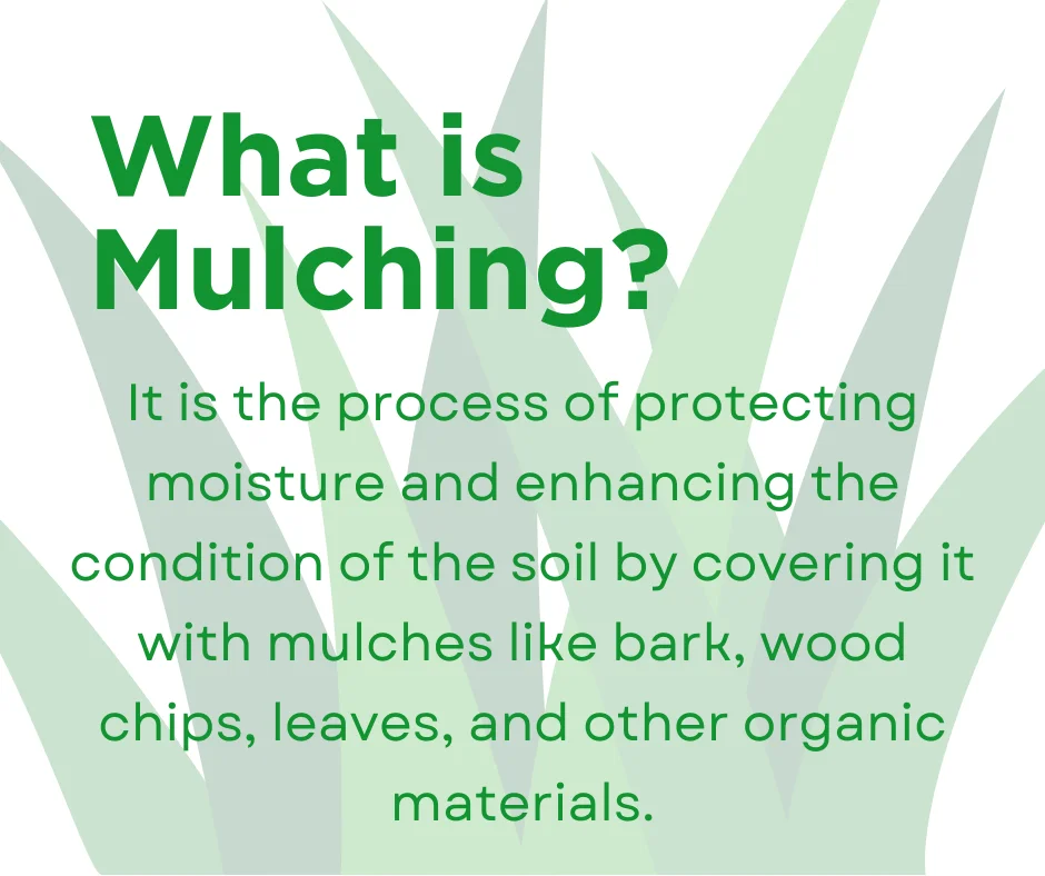 A definition post on what is mulching