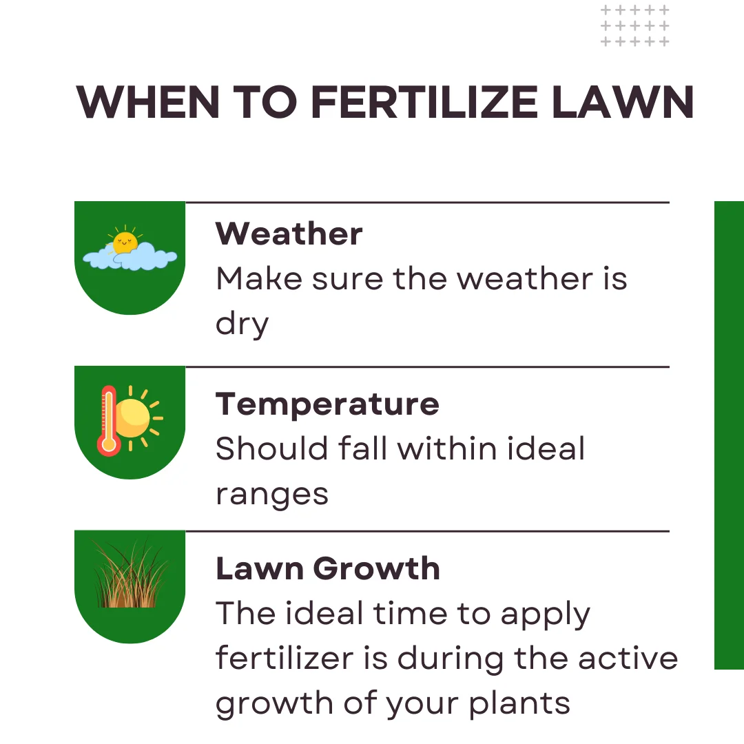 An infographic on when to fertilize lawn 