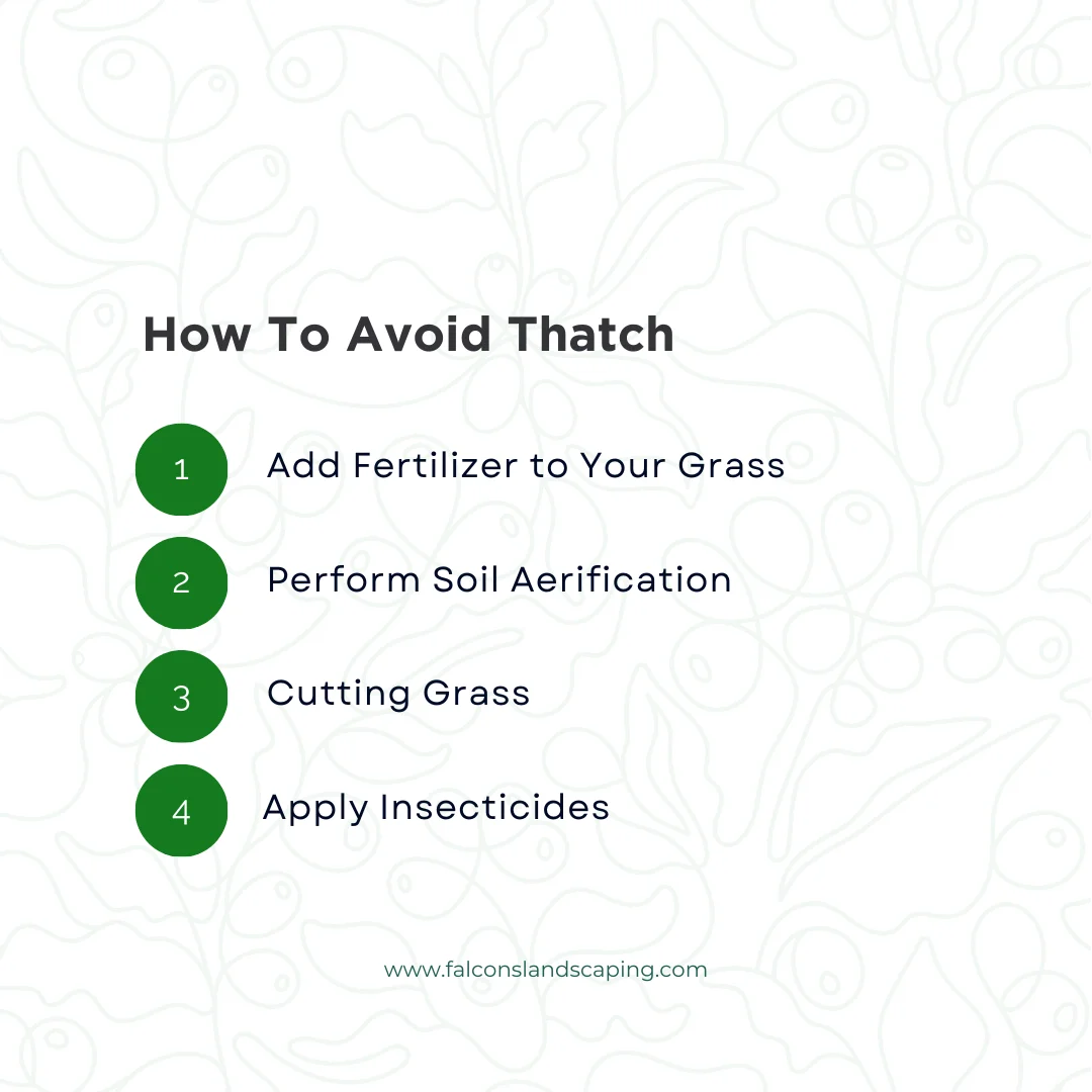 An infographic on how to avoid thatch