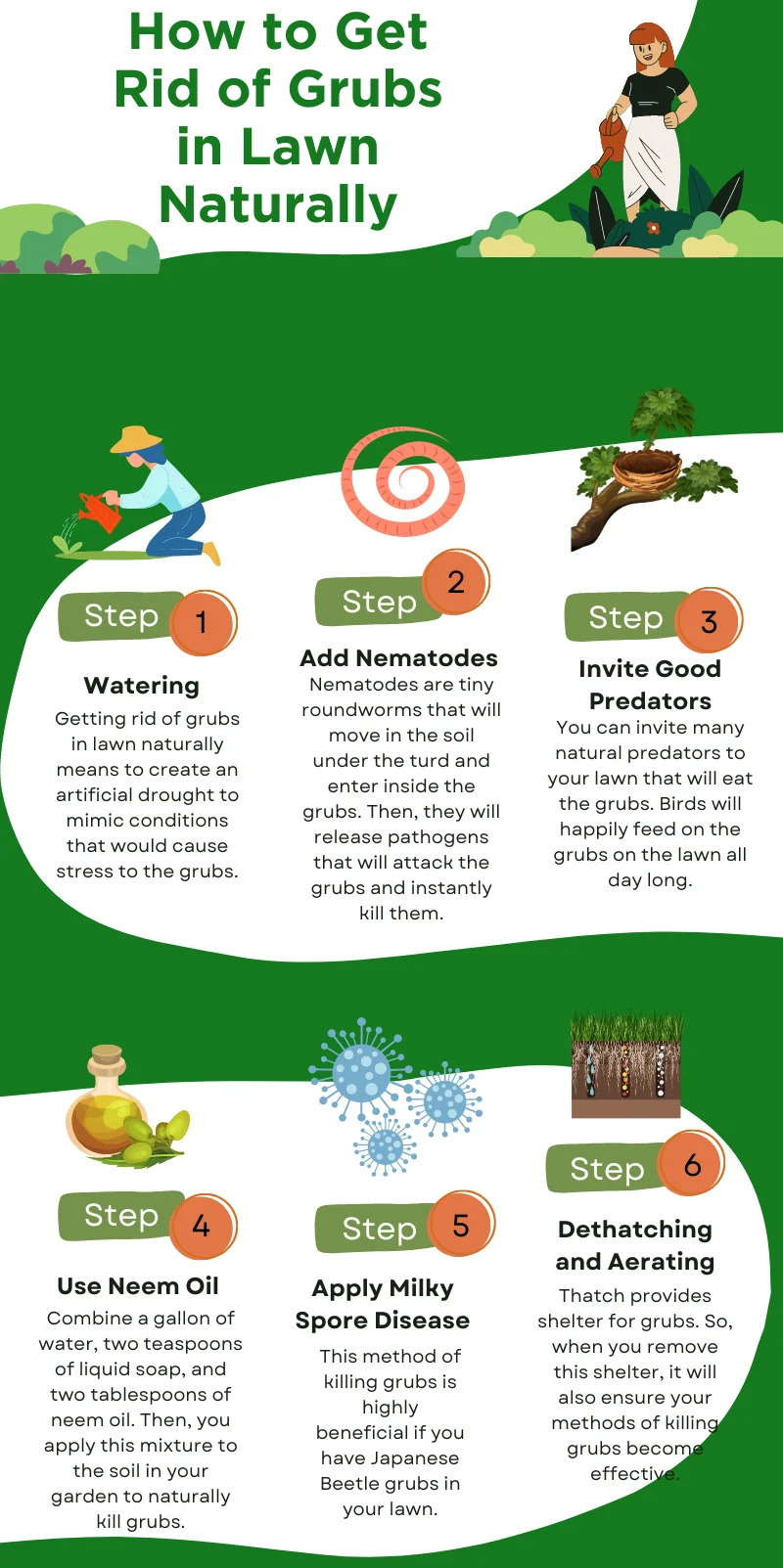 An infographic on how to get rid of grubs in lawn naturally