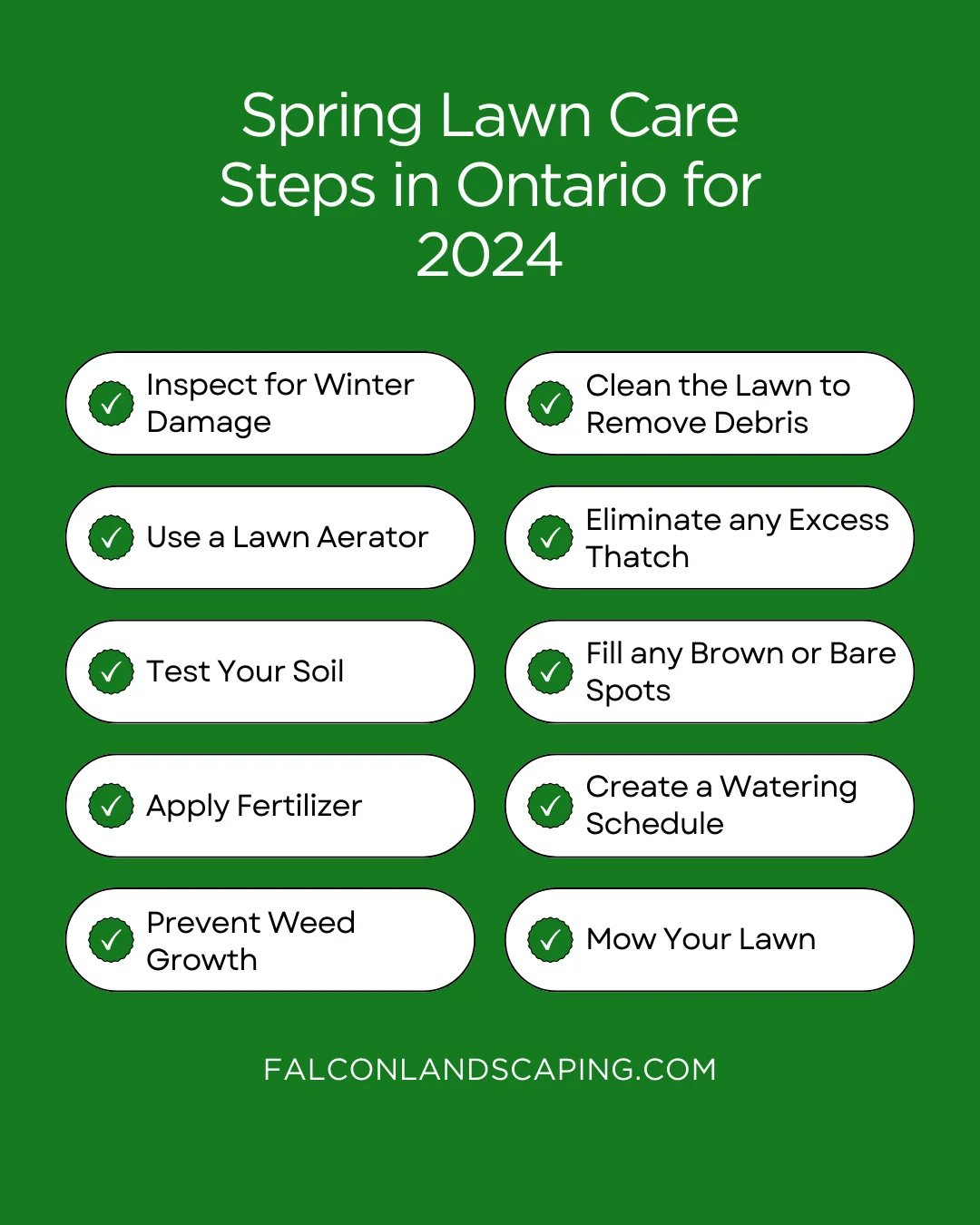 An infographic on the spring lawn care steps to follow