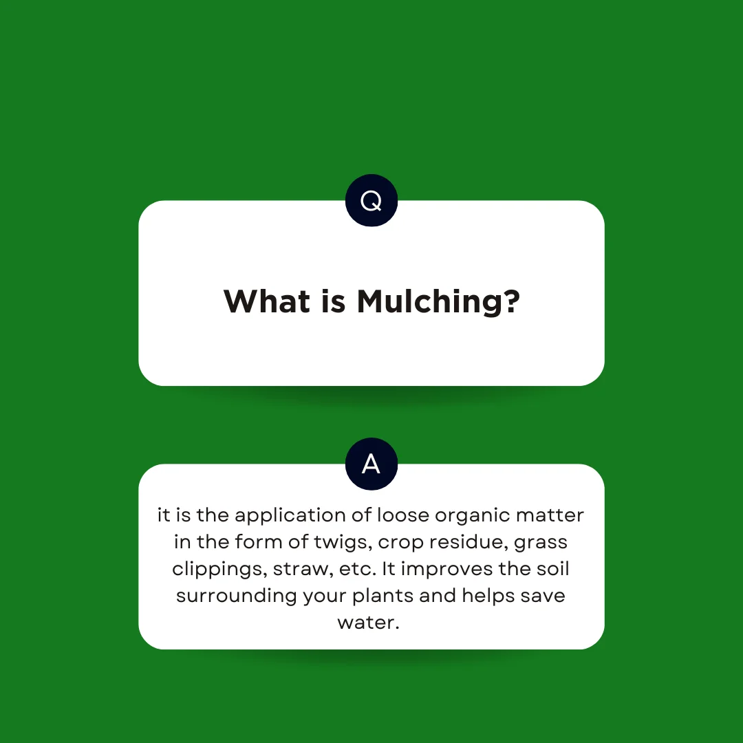 An answer post answering what is mulching