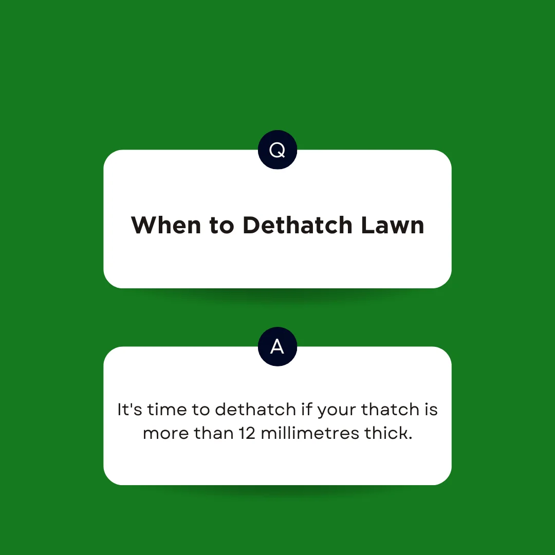 An answer to when to dethatch lawn in Ontario