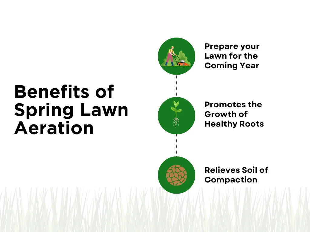 An infographic on the benefits of aerating lawn in spring 