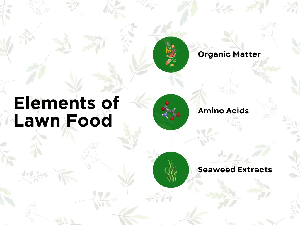 An infographic on the top elements of lawn food