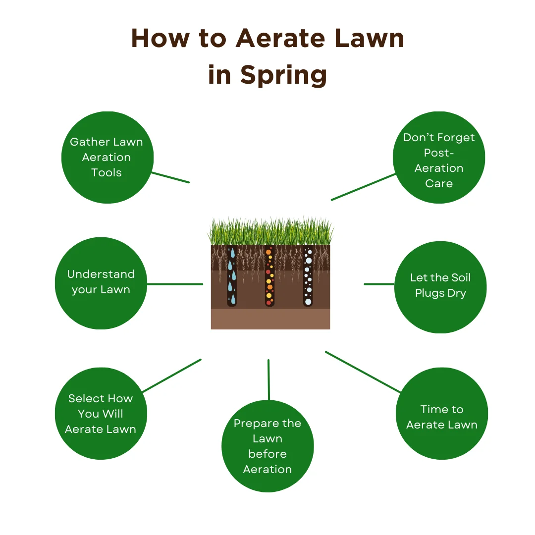 A diagram on how to aerate lawn in spring