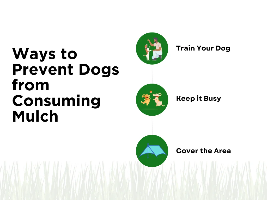 An infographic on how to prevent dogs from consuming mulch