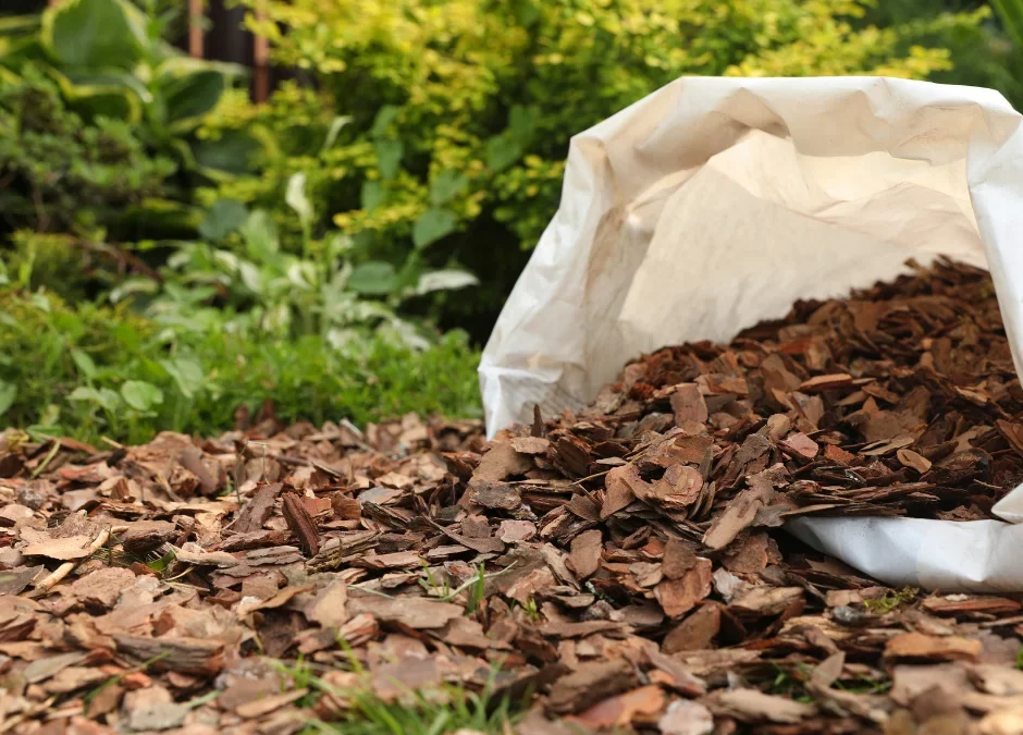 Is Mulch Bad For Dogs?