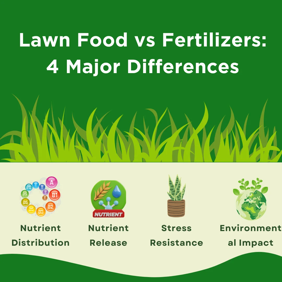 An infographic on the differences between lawn food vs fertilizer
