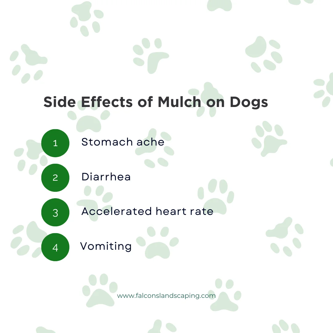 An infographic listing the side effects of mulch on dogs