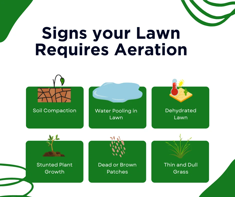 An infographic on the signs that your lawn needs aeration