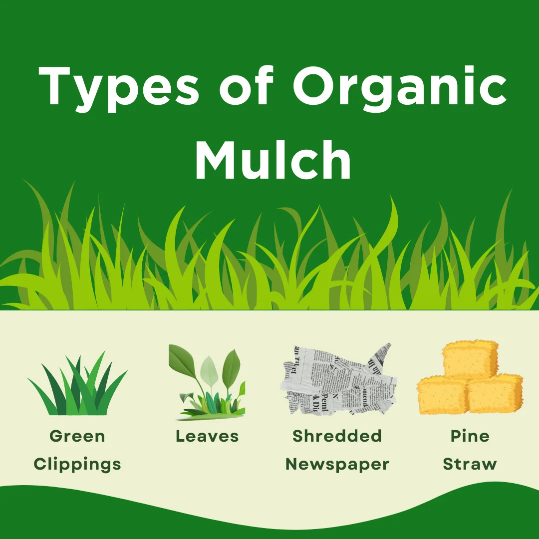 An infographic on the types of organic mulch