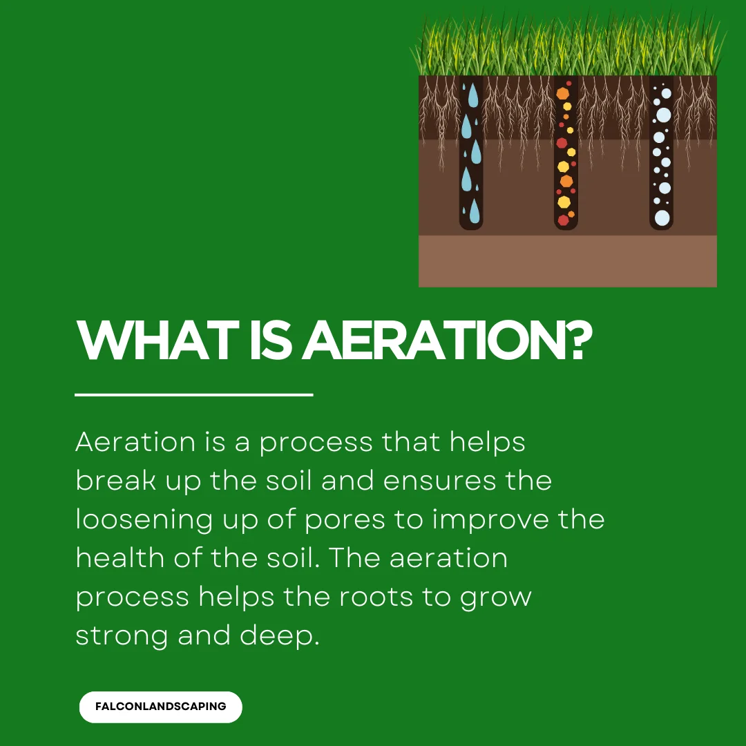 A definition post explaining what is aeration