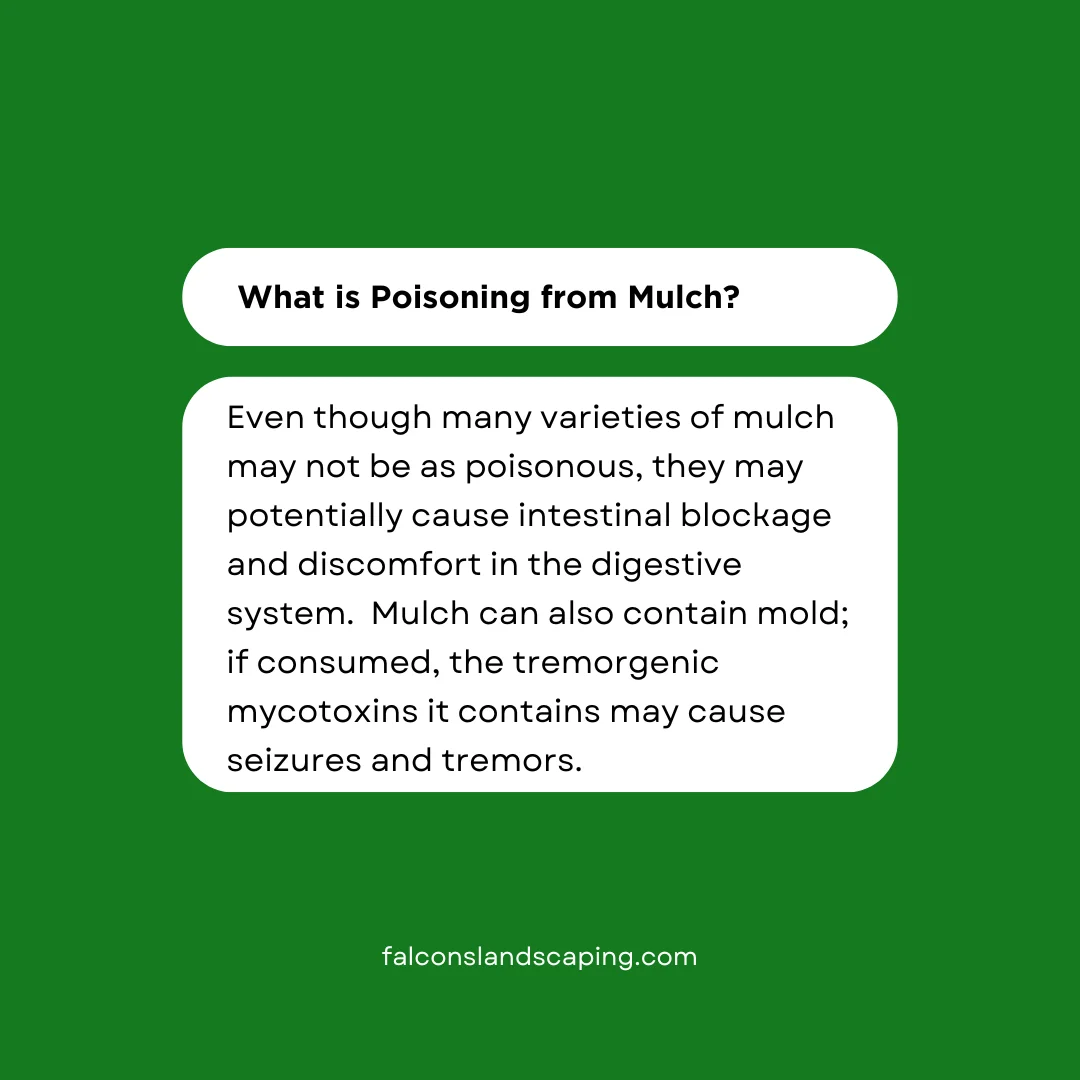 An answer post explaining what is poisoning from mulch