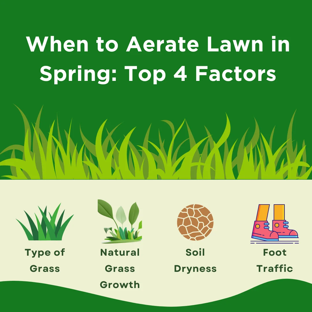 An infographic on when to aerate lawn in spring