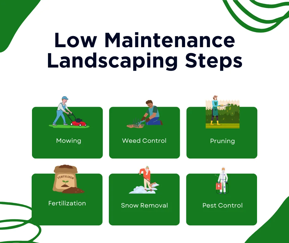 An infographic on the low maintenance landscaping steps