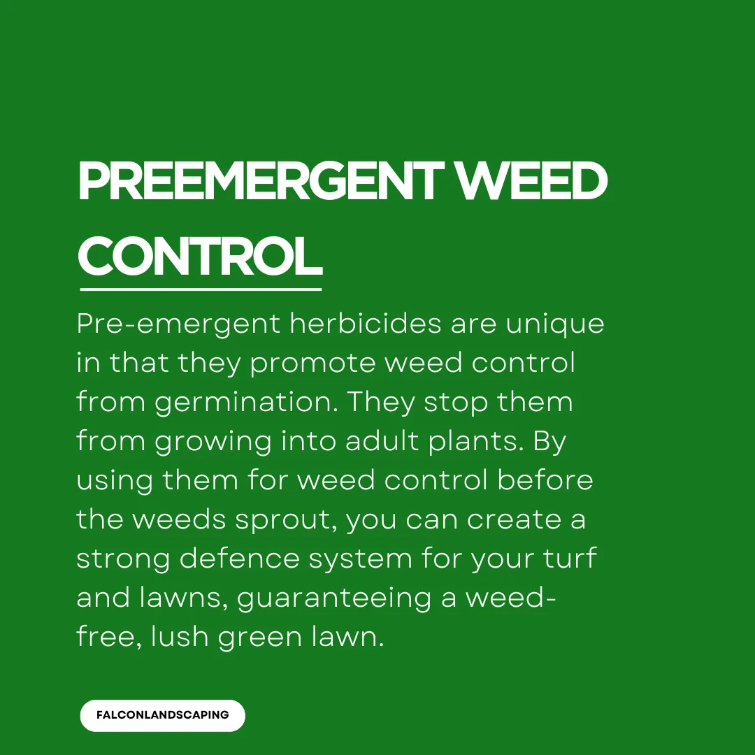 An answer post explaining the meaning of preemergent weed control