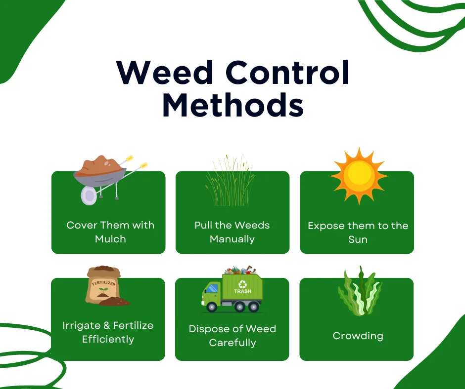 An infographic on the different various weed control methods