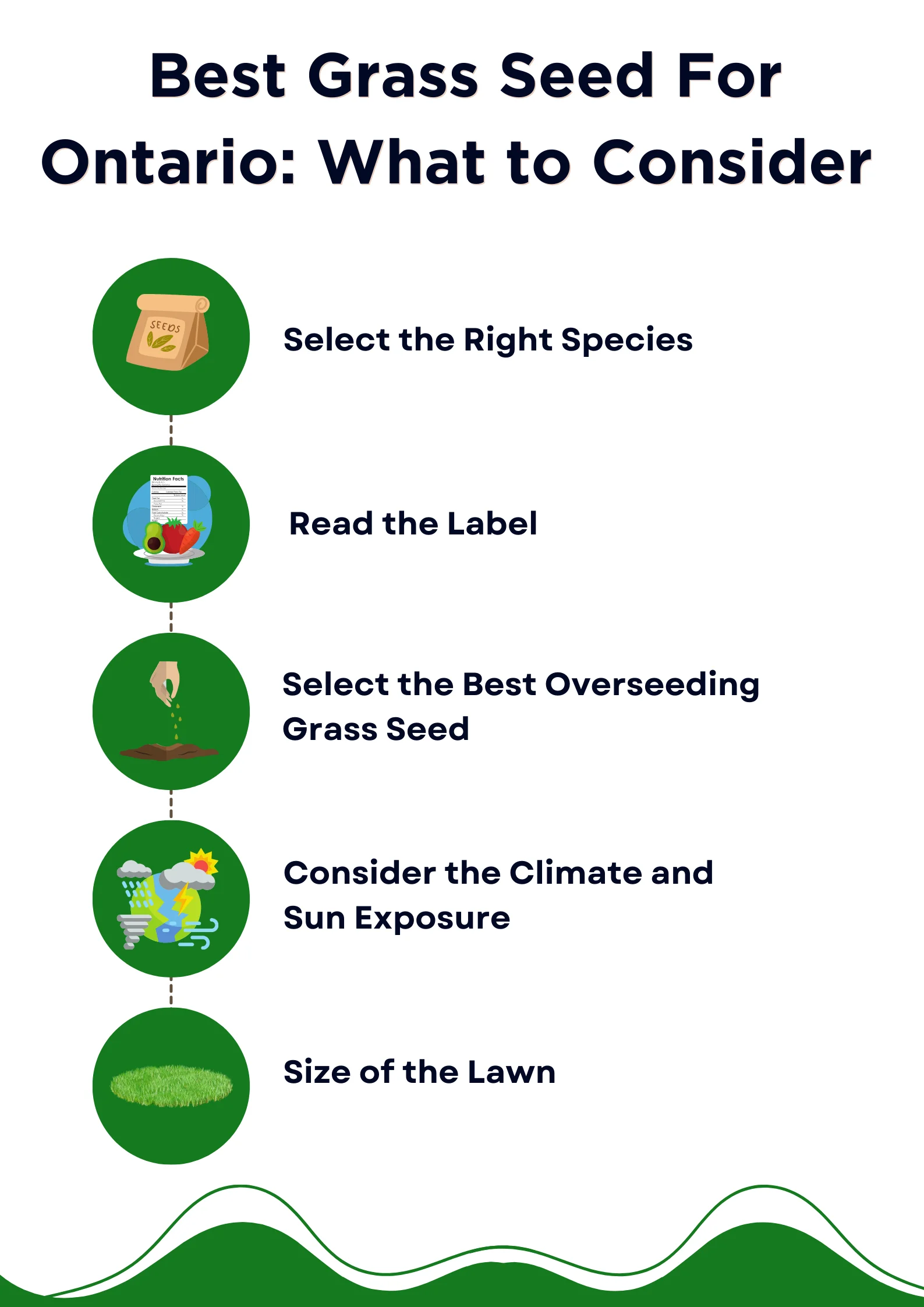 An infographic on the considerations for the best grass seed for Ontario